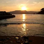 Pitosforo *