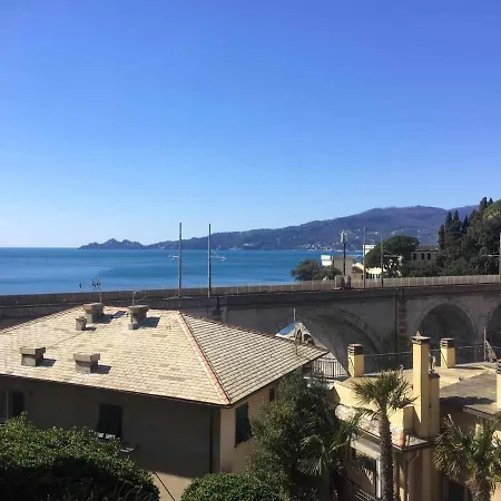 Apartament Pitosforo *