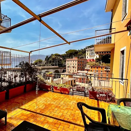 Apartament Pitosforo *