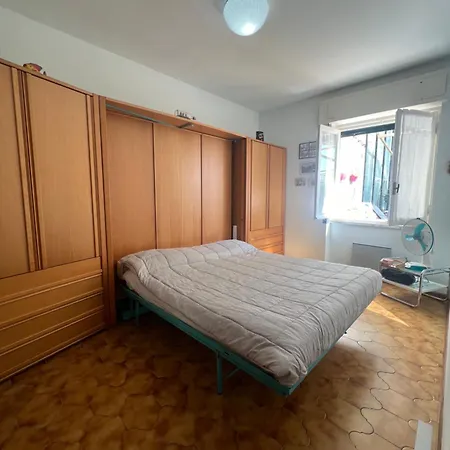 Pitosforo * Zoagli