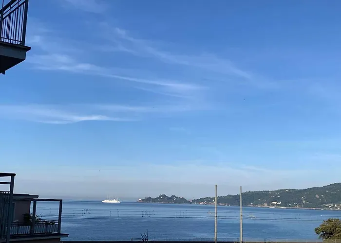 Apartman Pitosforo *