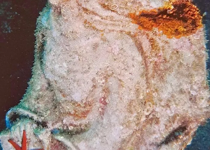 Lejlighed Pitosforo *